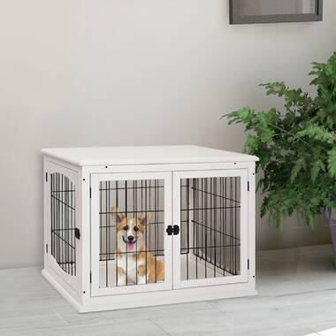 Dog kennels with outlet doors